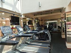 Simsville (D14), Condominium #580233631